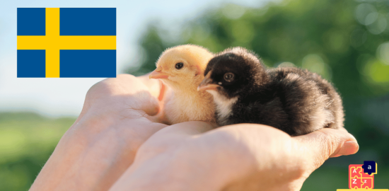 Learn Swedish - Names of Young Animals