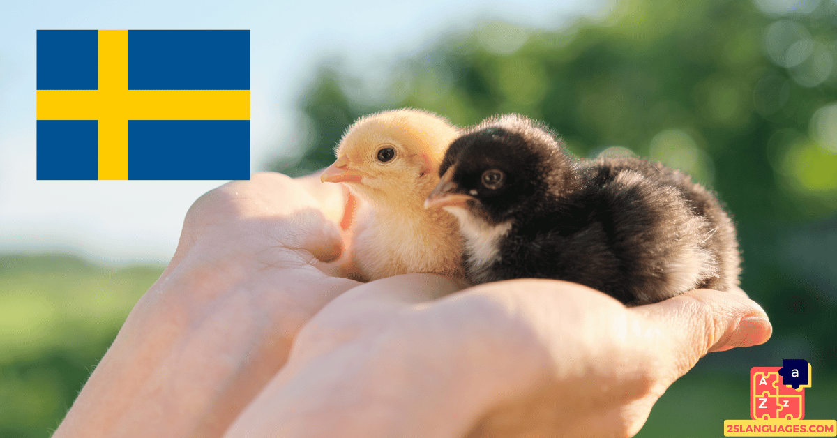 Learn Swedish - Names of Young Animals