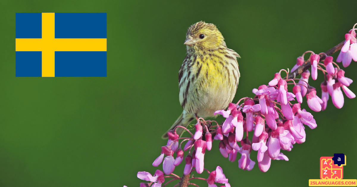 Learn Swedish - Birds Names