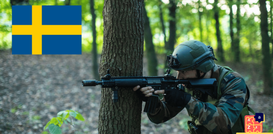 Learn Swedish - Military System