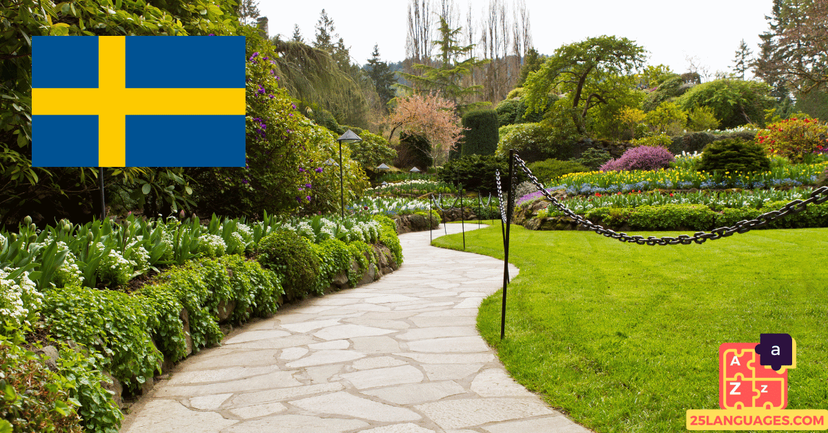 Learn Swedish - Phrases in the park