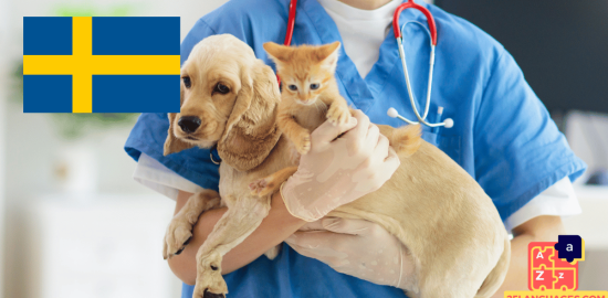 Learn Swedish - Phrases At the veterinarian