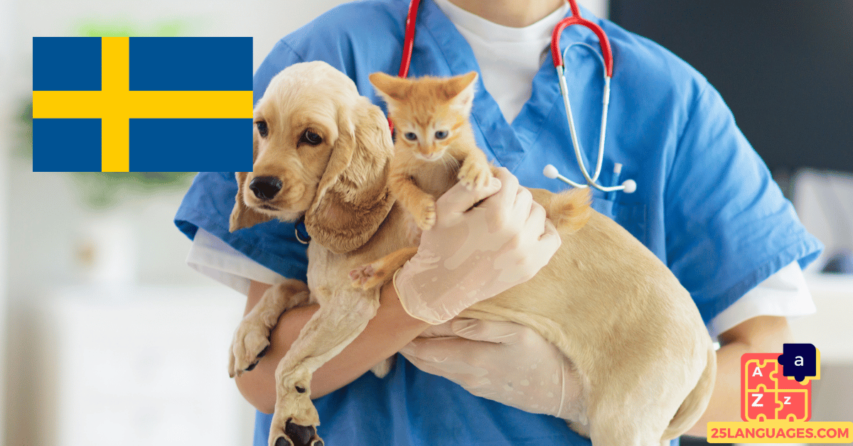 Learn Swedish - Phrases At the veterinarian