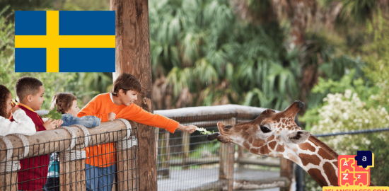 Learn Swedish - Phrases in the zoo