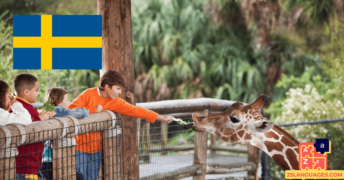 Learn Swedish - Phrases in the zoo