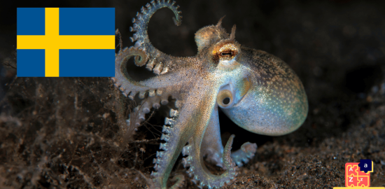 Learn Swedish - Names of Marine Creatures