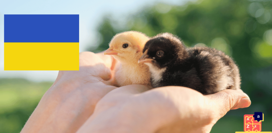 Apprendre l'ukrainien - noms de bébés animaux