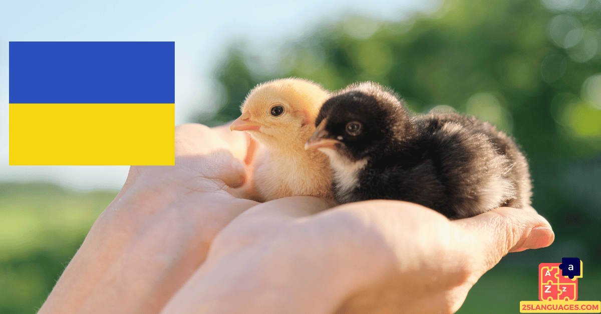 Apprendre l'ukrainien - noms de bébés animaux