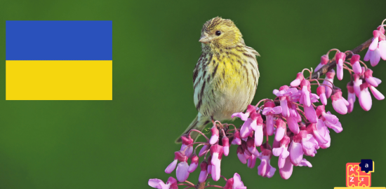 Learn Ukrainian - Birds Names