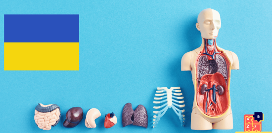 Learn Ukrainian - Human Body