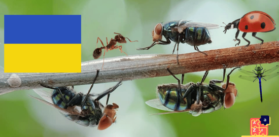 Apprendre l'ukrainien - Insectes