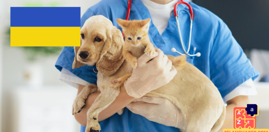 Learn Ukrainian - Phrases At the veterinarian